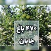 خرید و قیمت زمین، باغ و ویلای ارزان در دماوند گردی