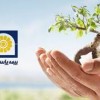 بیمه عمر و تامین آتیه پاسارگاد