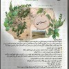 درختچه یادگاری با تشریفات نامیرا