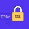 خدمات گواهینامه امنیتی دیجیتال (SSL)