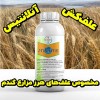 خرید بهترین علف‌کش Atlantis برای مزارع گندم