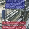 انبار داری و بسته بندی و ارسال کالاها