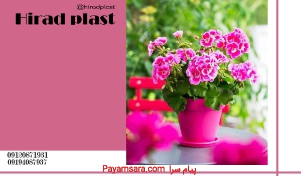 عرضه گلدان پلاستیکی رنگی ساده با قیمت مناسب