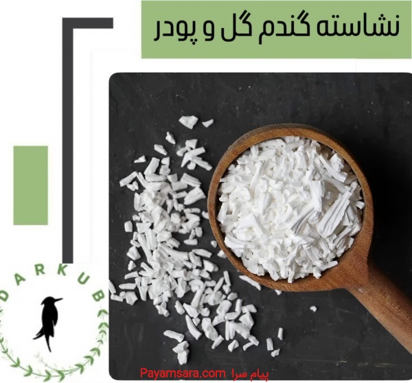 فروش عمده نشاسته و گلوتن