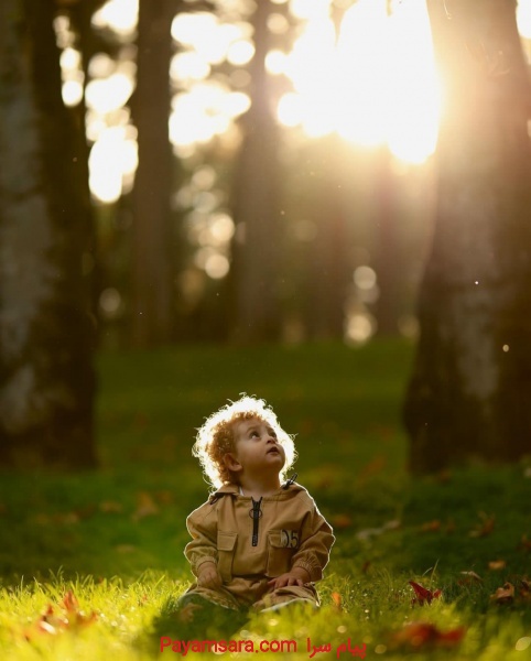 عکاسی وفیلمبرداری با عکاس حرفه ای خانم