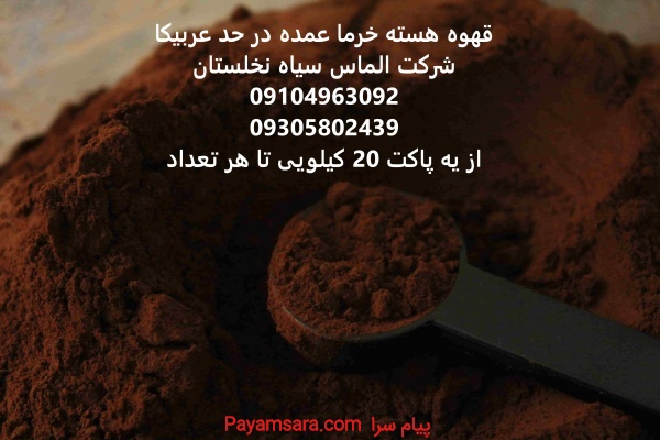 قهوه هسته خرما تناژی عمده
