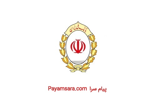 وام و تسهیلات موسسه دولتی فرا ملی(سهامی عام)