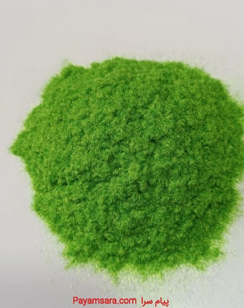 پودر کالیگرافی  (فلوکان استار)